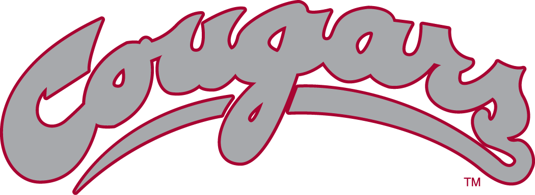 Washington State Cougars 1995-2010 Wordmark Logo v2 DIY iron on transfer (heat transfer)